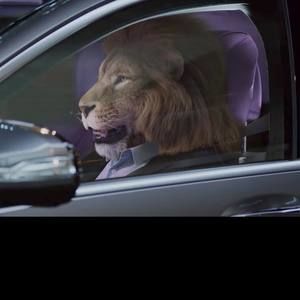 Meet your Posher, Oscar